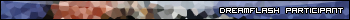 Text 'DREAMFLASH PARTICIPANT' over a pixelated landscape
