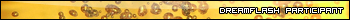 Text 'DREAMFLASH PARTICIPANT' over a yellow background with bubbles